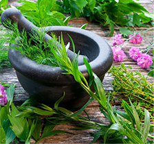 ayurveda.png